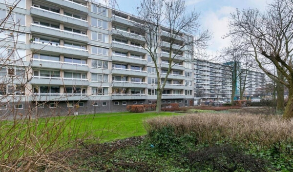 Everaertstraat